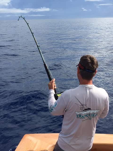 ken cofer blue marlin