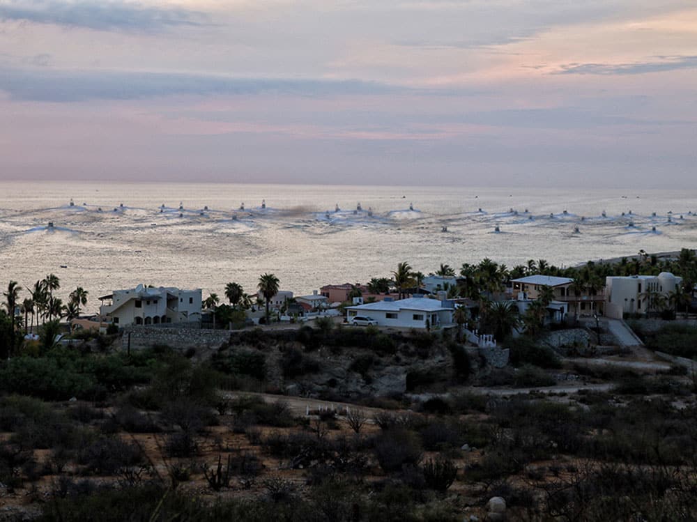 2017 bisbees east cape offshore tournament