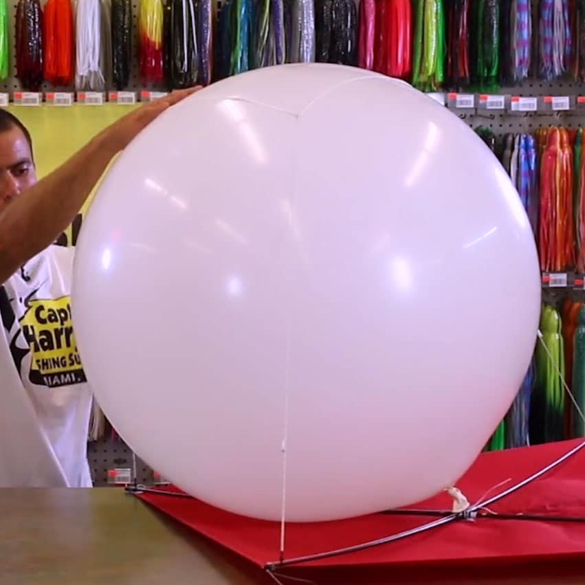 Kite-Fishing With Balloon Thong