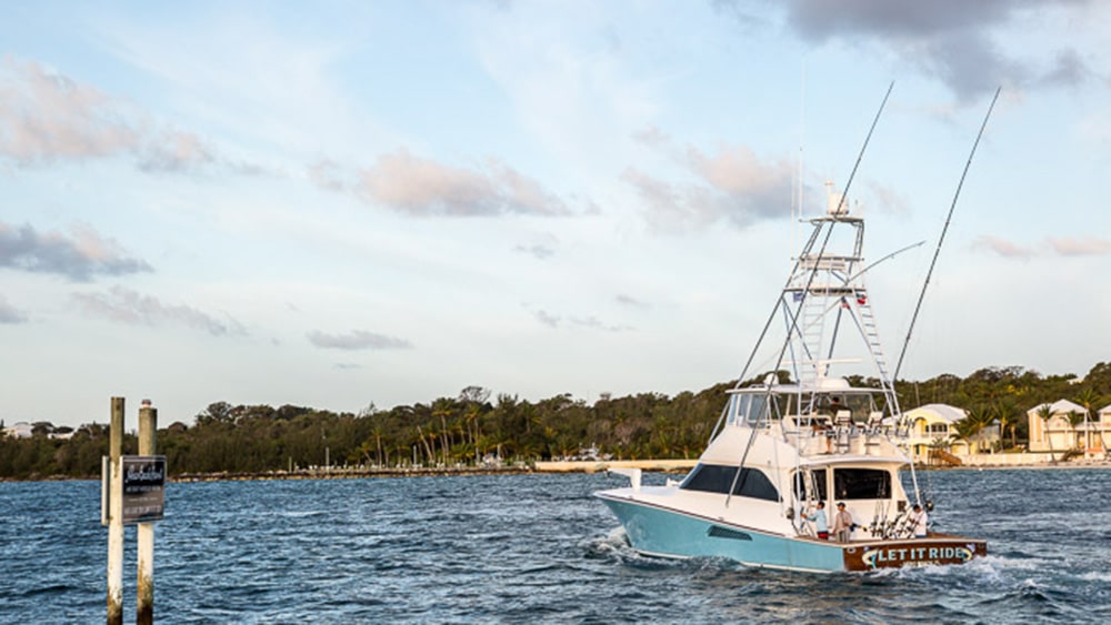 2017 White Marlin Roundup let it ride
