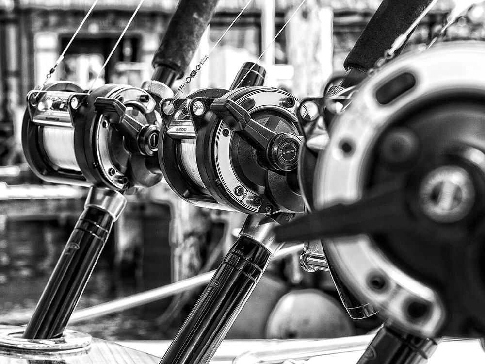 shimano tld reels for marlin and sailfish fishing