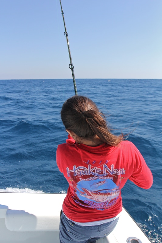 lo-que-sea-010.jpg