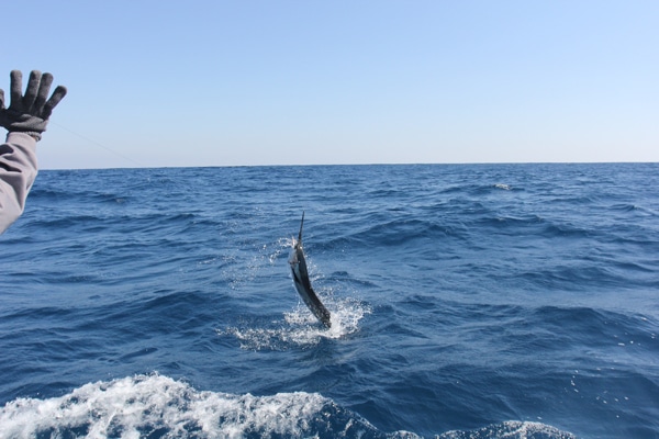 lo-que-sea-012.jpg