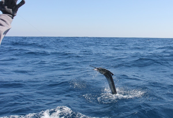lo-que-sea-013.jpg