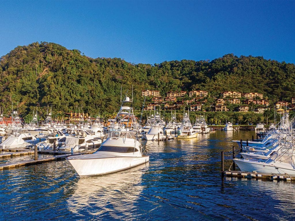 a fleet of boats docked at a resort and marina.