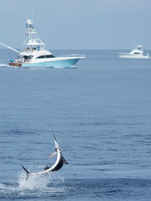 Los Suenos Record Broken