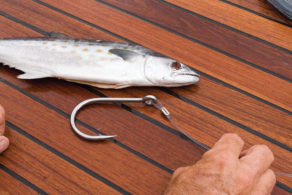 The mackerel belly rig differs since you don't use a loop passed through the fish's head. Instead, you pass the hook through the gill plates and out the belly just like with a ballyhoo rig.