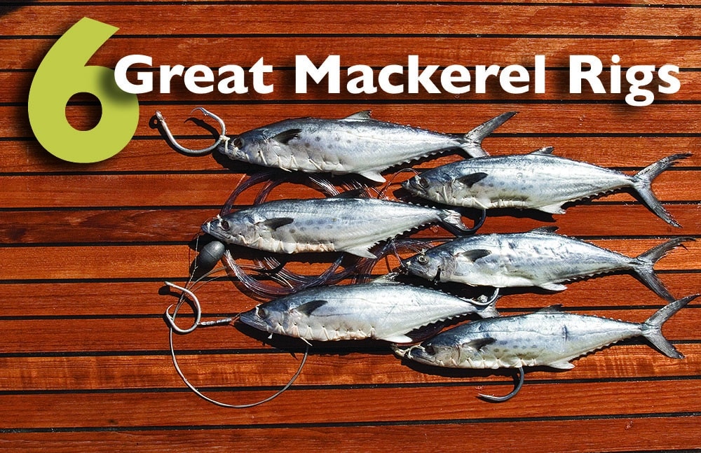 Spanish Mackerel Rigs, Rigging Mackerel for Trolling