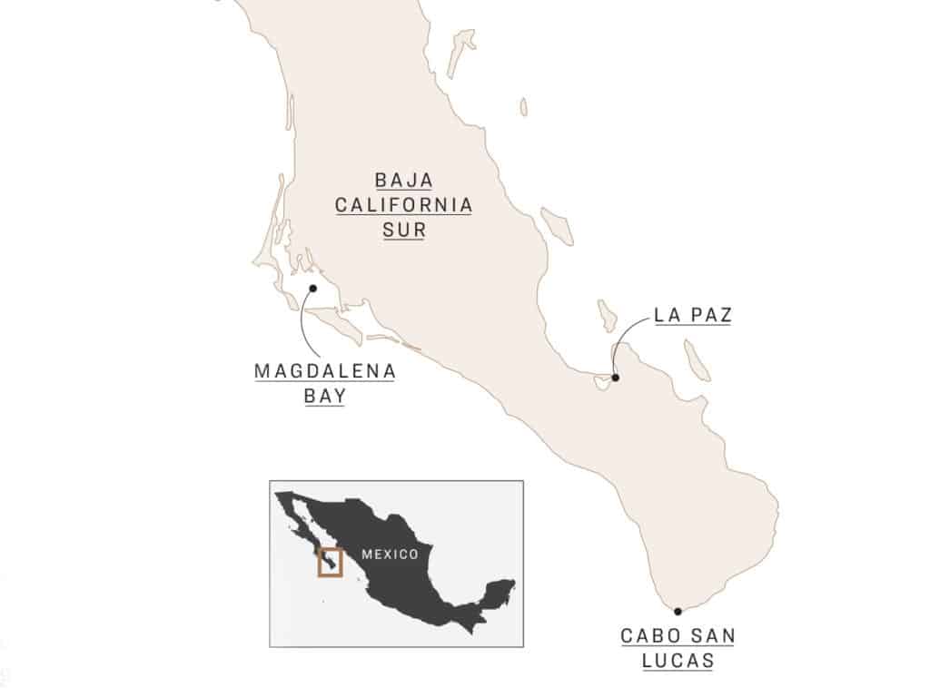 Simple map of Baja California Sur and Magdalena Bay.