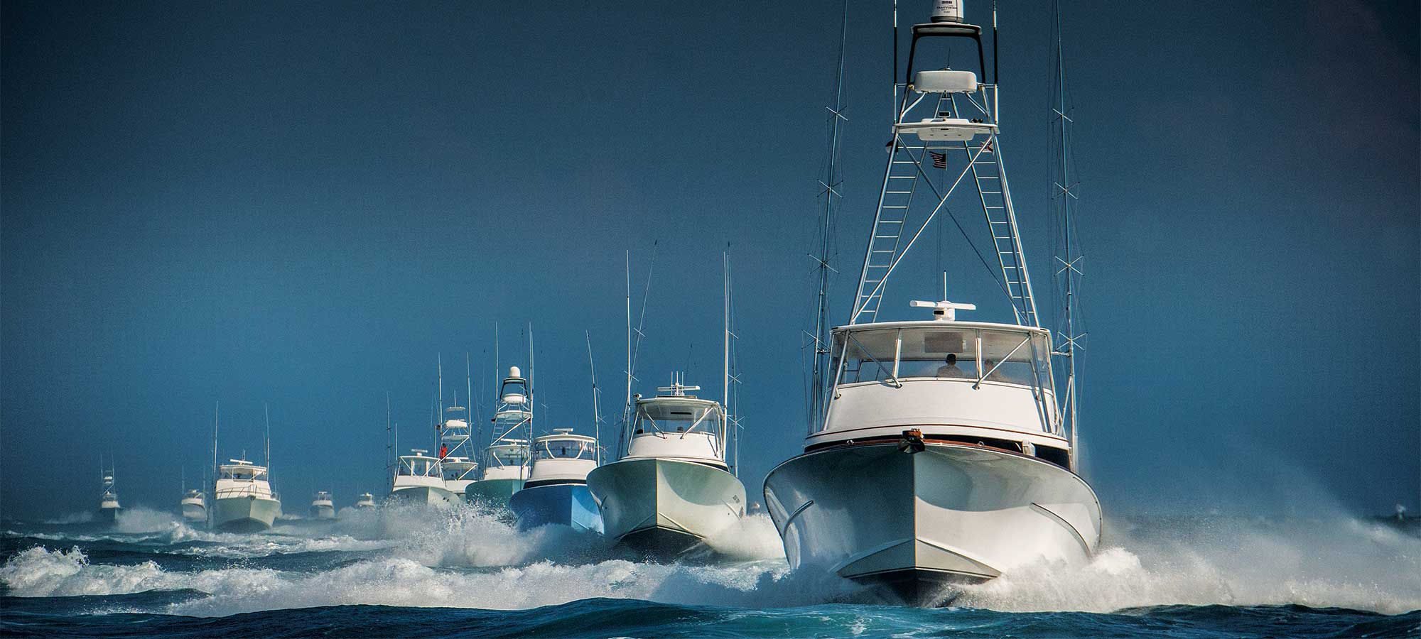 Past, Present and Future of the Big Rock Blue Marlin Tournament Marlin
