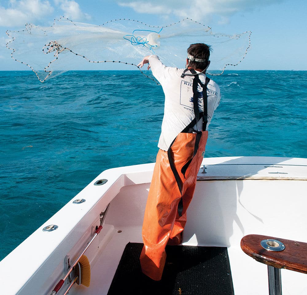 catching live bait with cast net