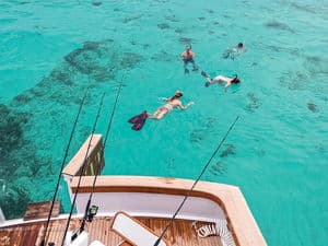 Snorkeling in the Bahamas