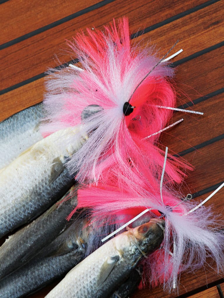 SeaWitch lure