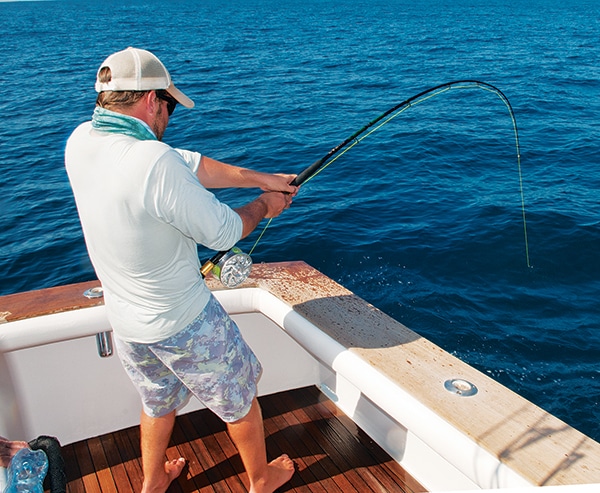 fly-fishing for sailfish