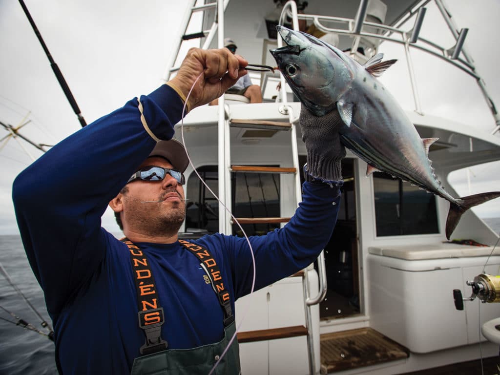 Rigging Tuna for Live Bait