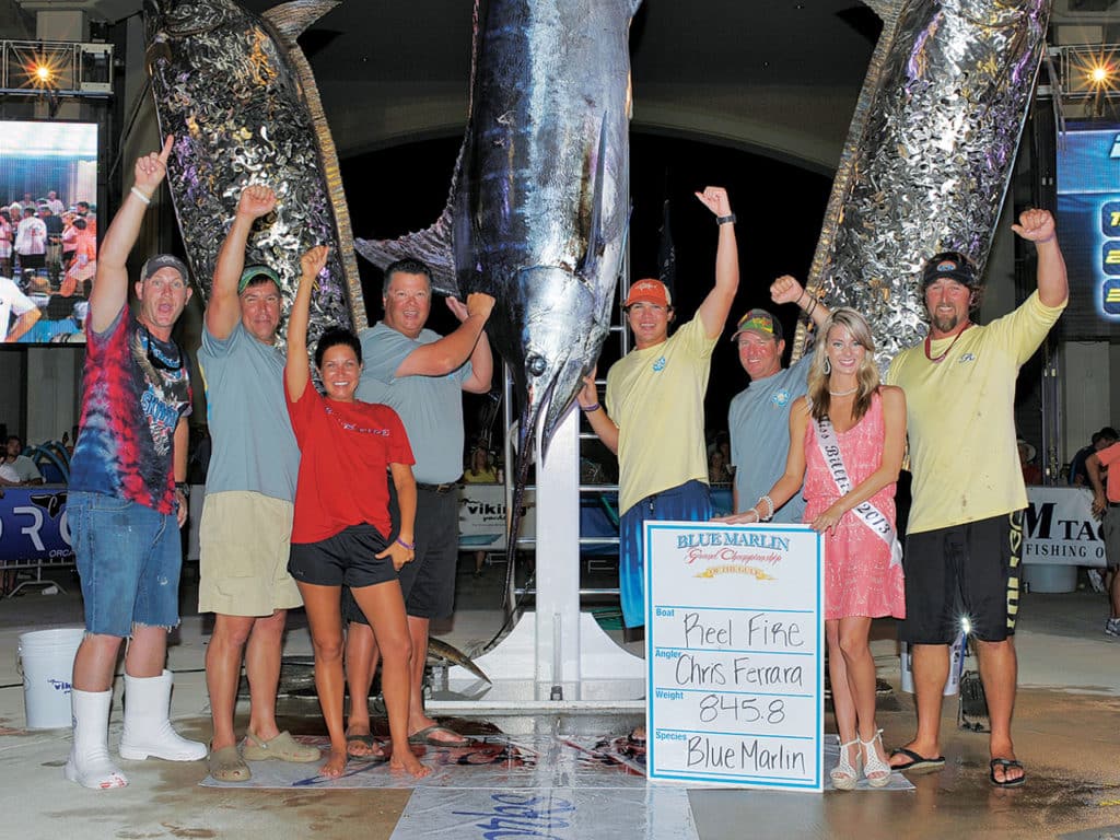Reel Fire Alabama State Record Blue Marlin