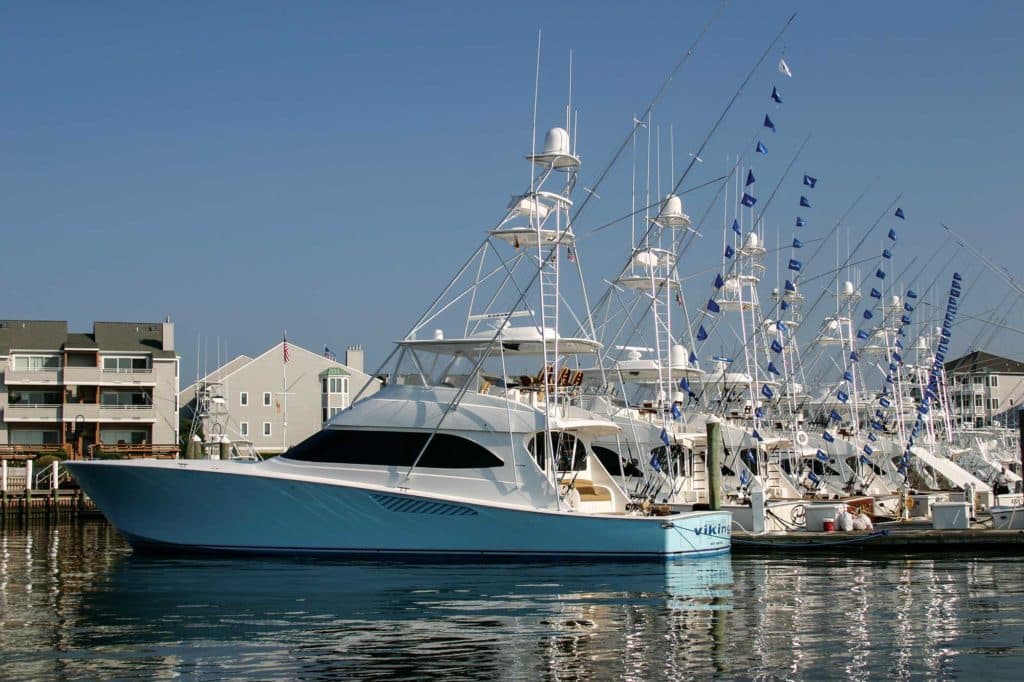 Marlin Fishing in Cape May, New Jersey