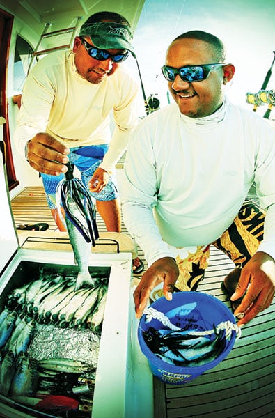 Dead bait fishing Caribbean