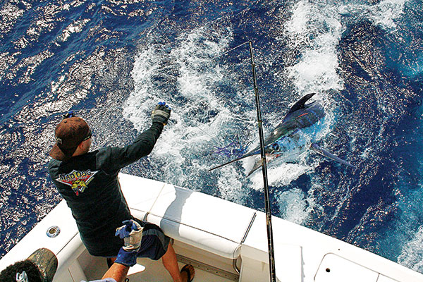 offshore fishing