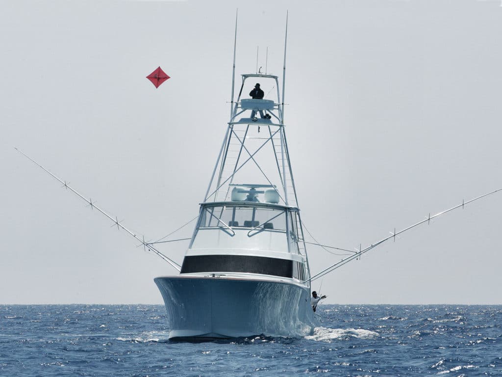 Kite-fishing for sailfish