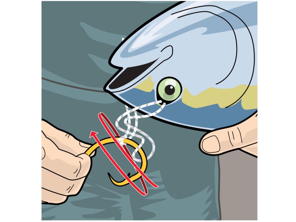 Rigging live bait for marlin fishing step 3