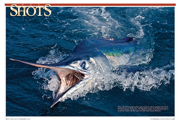 mar0908_hot-shots.jpg