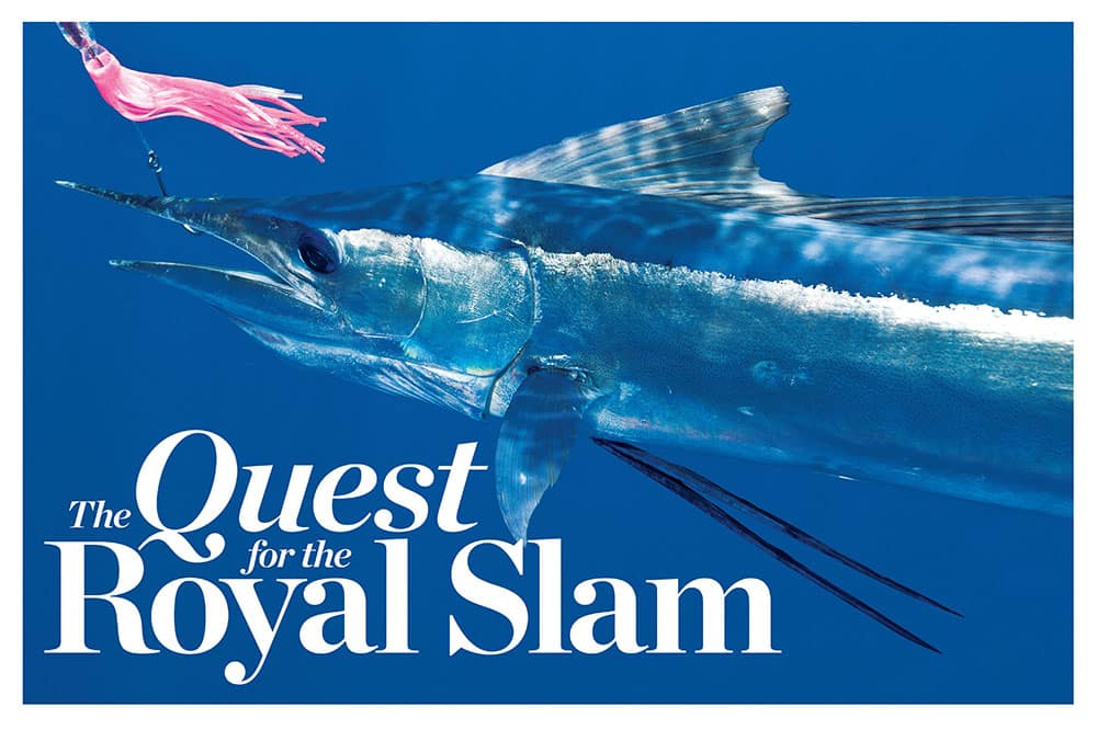 fishing for royal slam billfish