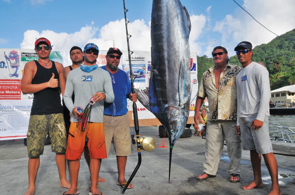 blue marlin caught on heavy tackle off american samoa in a tournament