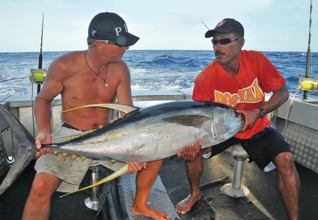yellowfin tuna off american samoa