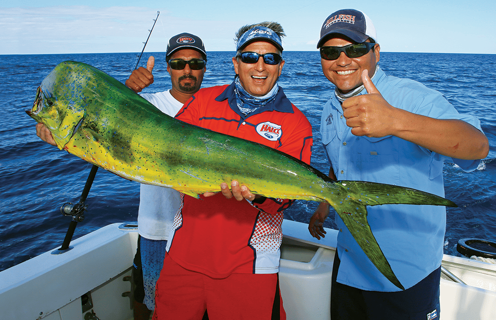 Billfish in Baja