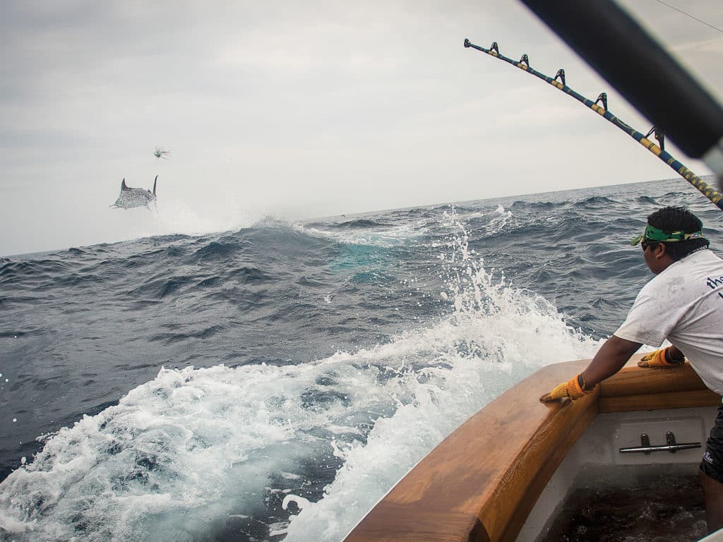 Fishing in rough waters