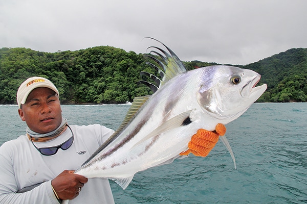 roosterfish panama fishing