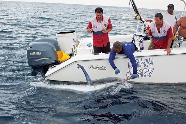 black marlin panama