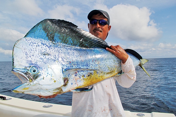 dorado panama fishing