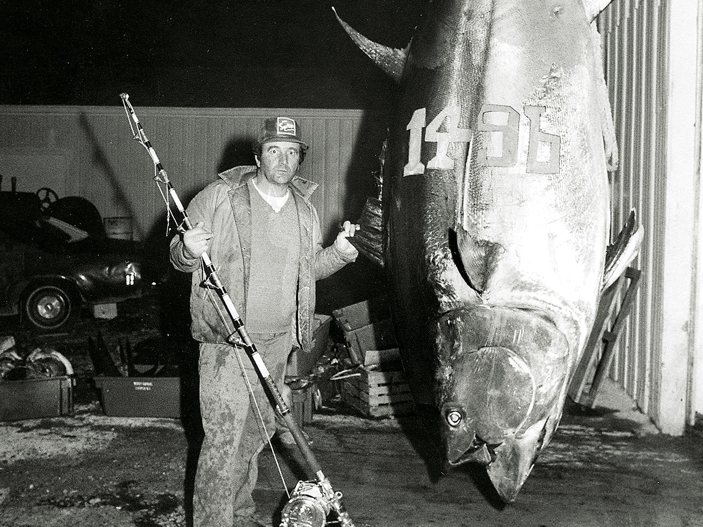 worlds largest fish ever caught on rod and reel