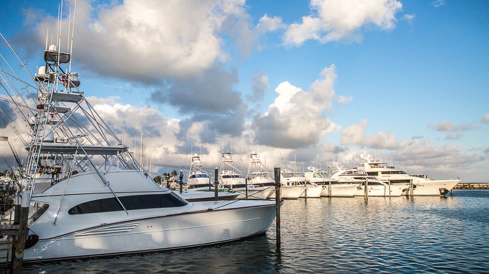 2017 White Marlin Roundup abaco beach resort