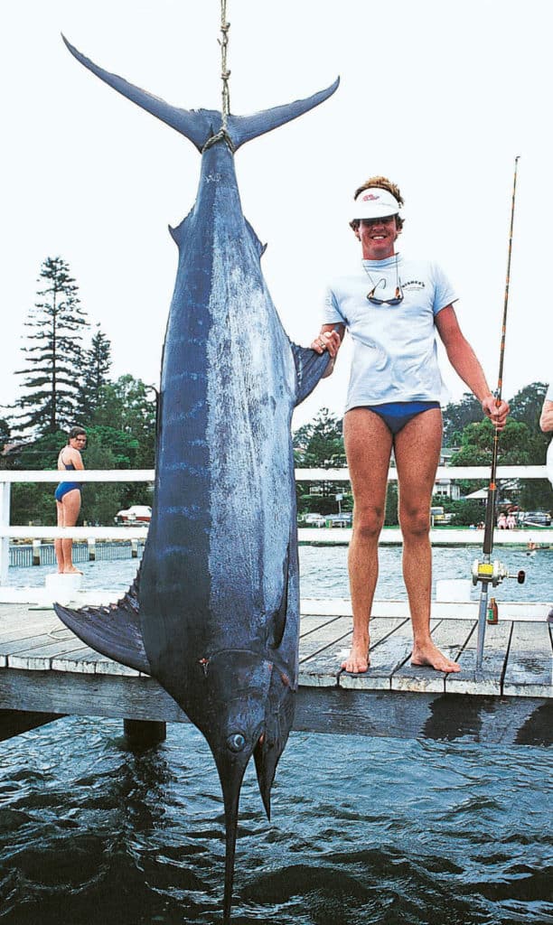 A large blue marlin suspended by a dock.