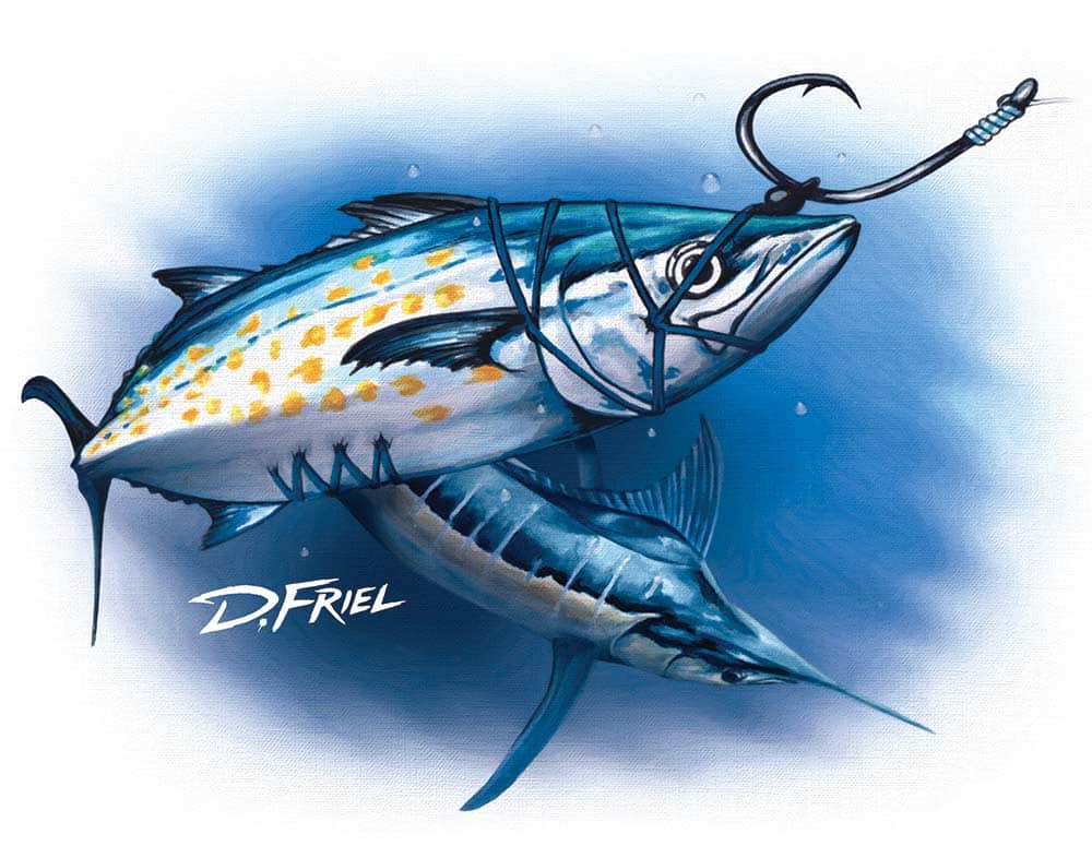 illustration of rigged live bait and a marlin