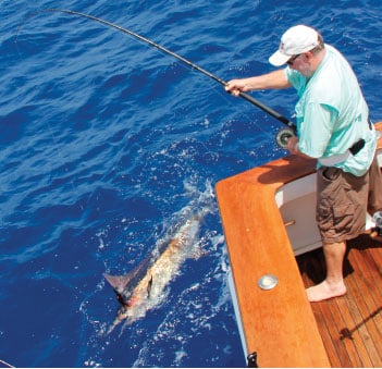 fishing for marlin on fly