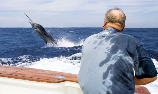 marlin fishing on fly