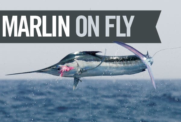 Marlin on fly
