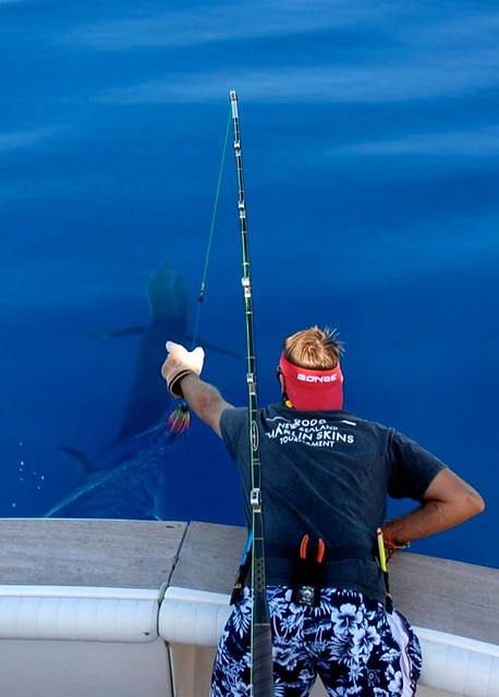 marlin fishing azores gallery008.jpg