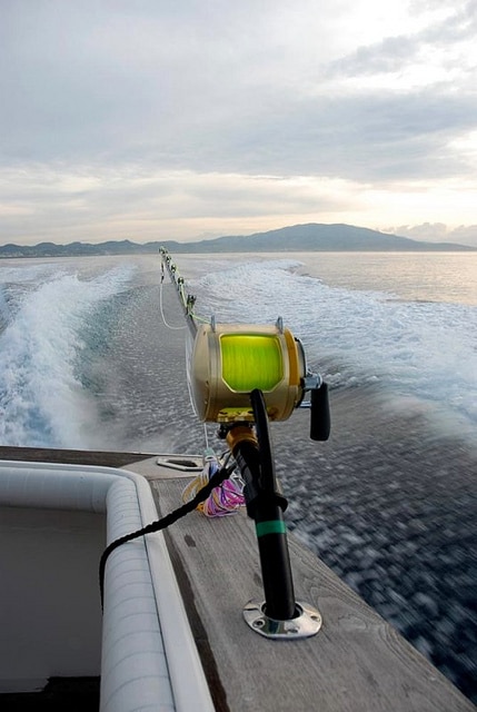 marlin fishing azores gallery009.jpg