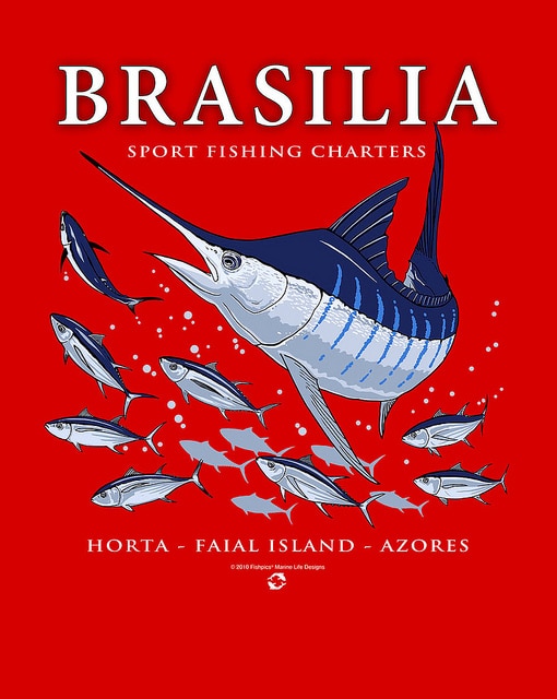 marlin fishing azores gallery025.jpg