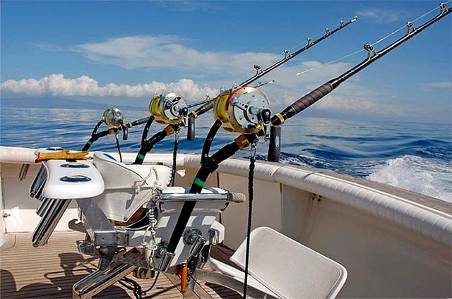 marlin fishing azores gallery040.jpg