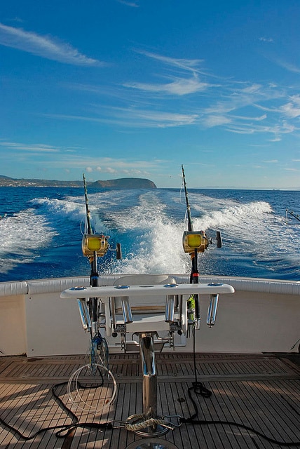 marlin fishing azores gallery048.jpg
