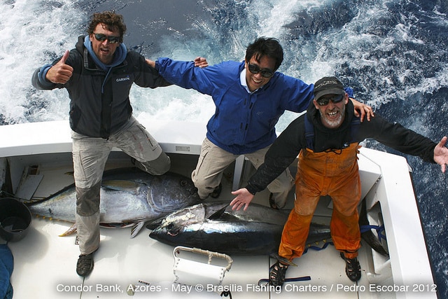 marlin fishing azores gallery059.jpg