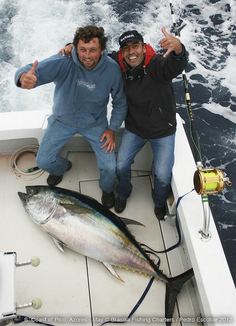marlin fishing azores gallery063.jpg