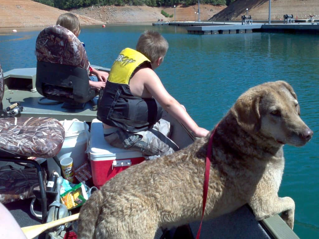 **Reader submissions**: Fishing dogs