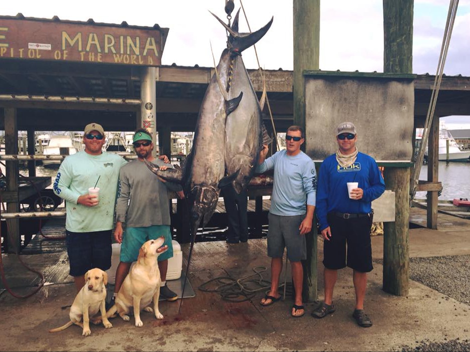 **Reader submissions**: Fishing dogs